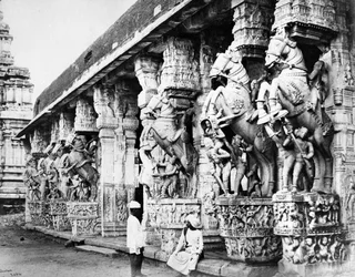 Carved Horse Pillars in Ranganatha Temple, Srirangam