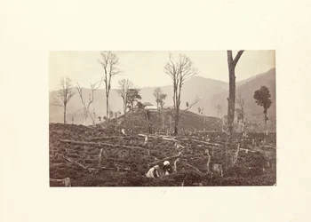 Darjeeling; View of the Selim Tea Estate, Showing the Upper Factory and Bungalow