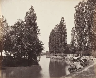 River With Trees (India)
