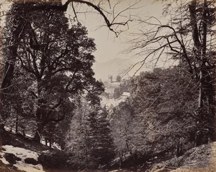 Shimla. The Church Through the Trees, from Jakko