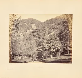 Simla; Jakko, from Oakover (General View from the Tonga Road)