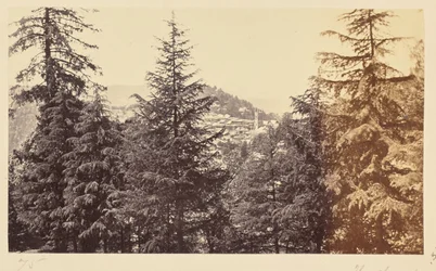 Simla; The Church through the Trees, from Jakko
