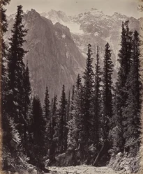 The Upper Himalayas. View in the Manga Valley