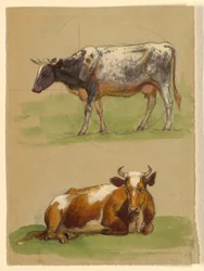 Drawing, Cattle, a Cow Walking and a Cow Crouching