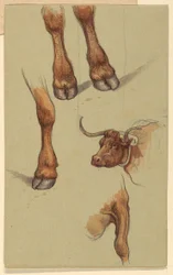 Sketches from Narragansett, Rhode Island, 1871
