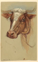 Sketches from Narragansett, Rhode Island