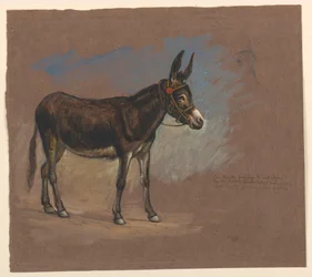 Study of a Mule