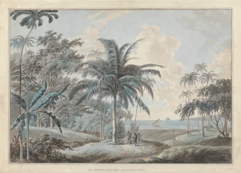 Near Eucheconing Point, Java