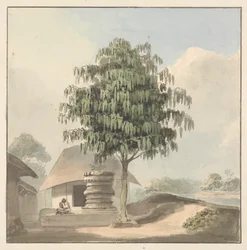 Holy Man Seated Near Plinth Under a Tree