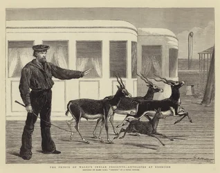 The Prince of Wales
