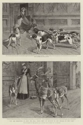 You are requested to keep the Hall Doors shut on Account of the Animals in the Park