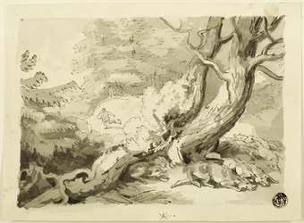 Fox Hunt