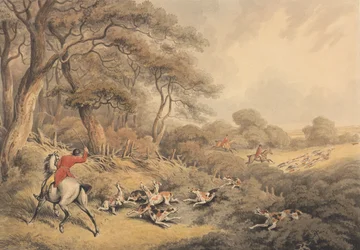 Foxhunting: Stopping Hounds That Have Changed