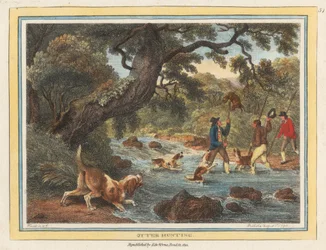 Otter Hunting