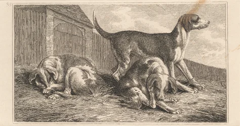 Three Dogs