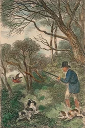 Woodcock Shooting