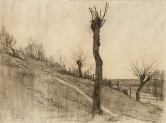 Late winter landscape