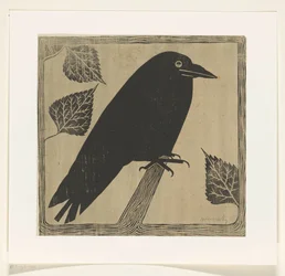 Crow