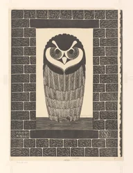 Ringed Owl