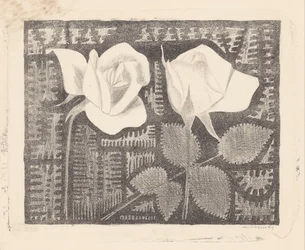 Two roses