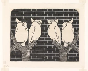 Four sulphur-crested cockatoos