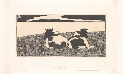 Cows