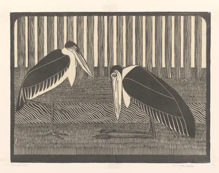 Two Marabou Storks