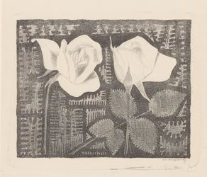 Two Roses