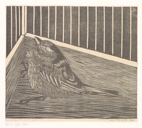 Bird in the Corner of a Cage