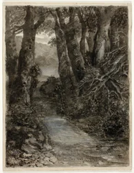 A Woodland Study