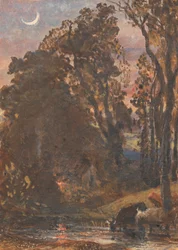 Evening, Cattle Watering