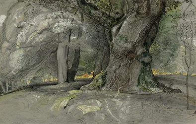 Oak Tree and Beech, Lullingstone Park