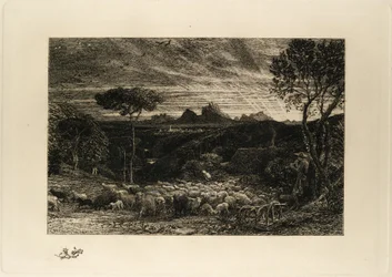 Opening the Fold, or Early Morning