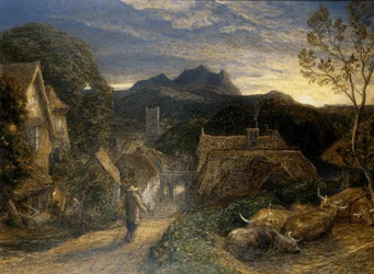 The Bellman