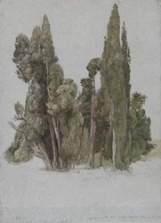 The Cypresses at the Villa d