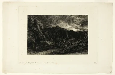 The Herdsman