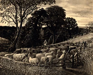 The Sheep Fold