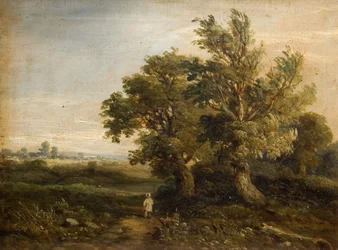 Landscape With Trees