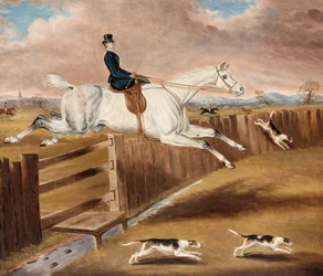 Over the Fence