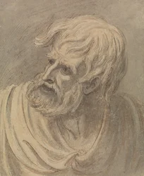 Head of a Man with a Beard Looking to the Left