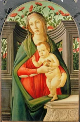Unknown Image