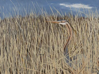 Gray Heron, 2021