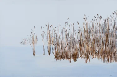 Winter Reeds, 2016