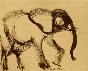 Abstract Elephant Sketch