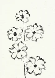 Charcoal Flower Sketch