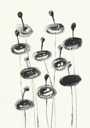 Delicate Charcoal Blooms