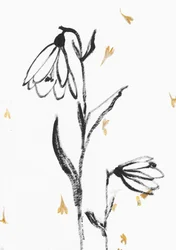 Delicate Floral Sketch