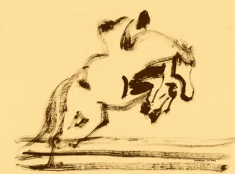 Dynamic Equestrian Jump