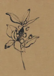 Earthy Botanical Illustration