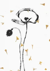 Elegant Black Poppies